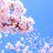 Mai Lan_ML