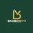 Bamboo VOICE