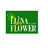 lianaflower.com