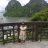 Nguyễn Yến Vi