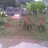 mecon`