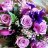 Nguyễn Mai Trang_966